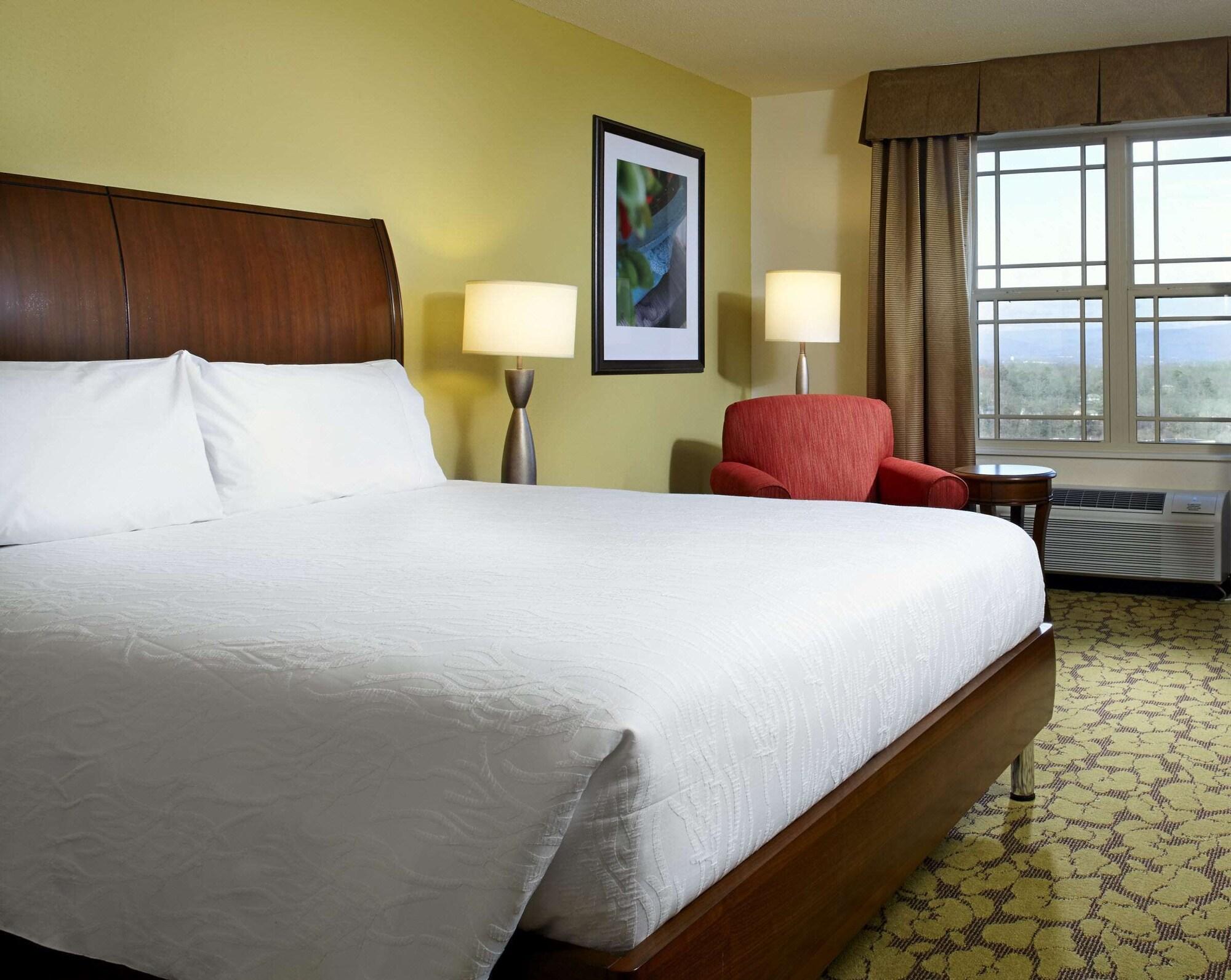 Hilton Garden Inn Roanoke Exterior photo